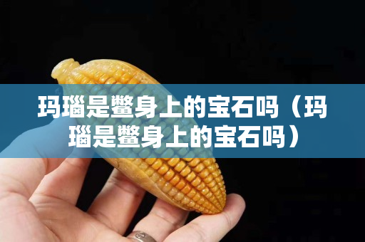 玛瑙是鳖身上的宝石吗（玛瑙是鳖身上的宝石吗）