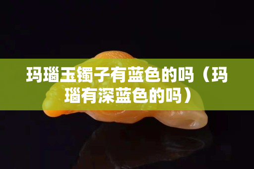 玛瑙玉镯子有蓝色的吗（玛瑙有深蓝色的吗）