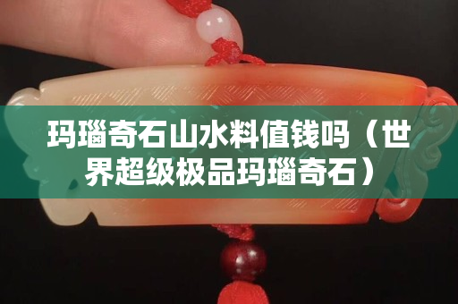 玛瑙奇石山水料值钱吗（世界超级极品玛瑙奇石）