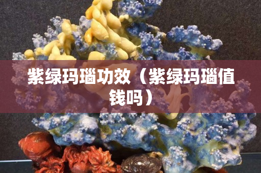 紫绿玛瑙功效（紫绿玛瑙值钱吗）