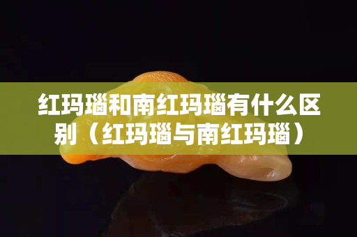 红玛瑙和南红玛瑙有什么区别（红玛瑙与南红玛瑙）