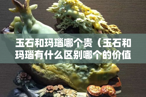 玉石和玛瑙哪个贵（玉石和玛瑙有什么区别哪个的价值更高）