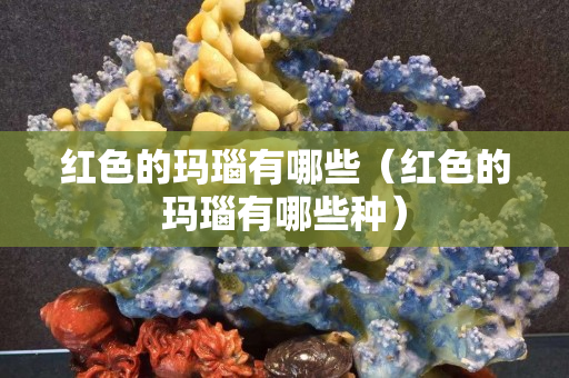 红色的玛瑙有哪些（红色的玛瑙有哪些种）