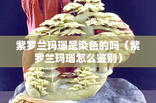 紫罗兰玛瑙是染色的吗（紫罗兰玛瑙怎么鉴别）
