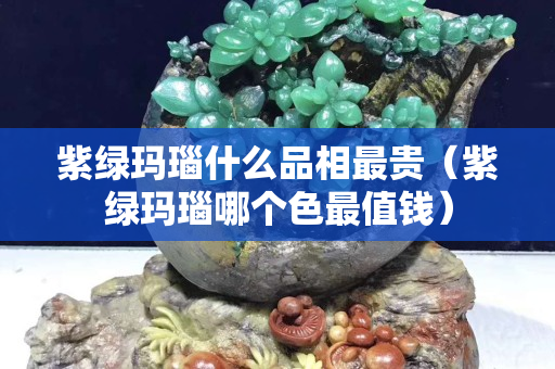 紫绿玛瑙什么品相最贵（紫绿玛瑙哪个色最值钱）