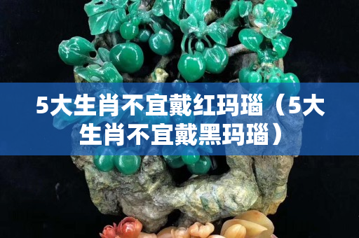 5大生肖不宜戴红玛瑙（5大生肖不宜戴黑玛瑙）