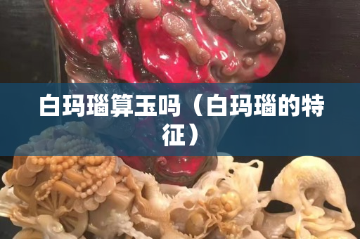 白玛瑙算玉吗（白玛瑙的特征）