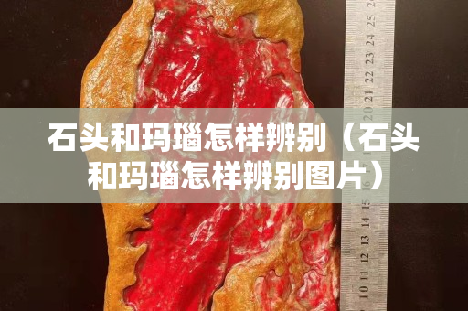 石头和玛瑙怎样辨别（石头和玛瑙怎样辨别图片）