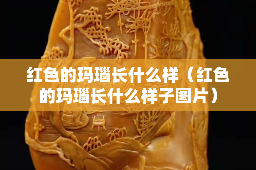 红色的玛瑙长什么样（红色的玛瑙长什么样子图片）