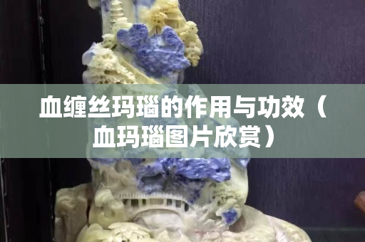 血缠丝玛瑙的作用与功效（血玛瑙图片欣赏）