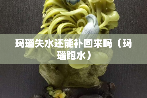 玛瑙失水还能补回来吗（玛瑙跑水）