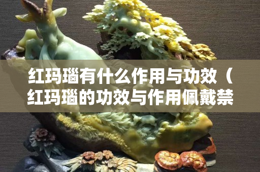红玛瑙有什么作用与功效（红玛瑙的功效与作用佩戴禁忌）