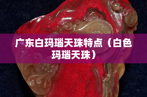 广东白玛瑙天珠特点（白色玛瑙天珠）