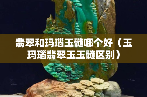 翡翠和玛瑙玉髓哪个好（玉玛瑙翡翠玉玉髓区别）