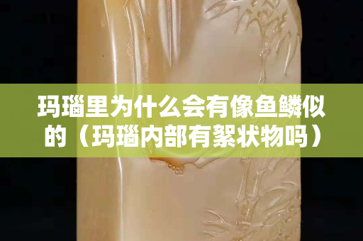 玛瑙里为什么会有像鱼鳞似的（玛瑙内部有絮状物吗）