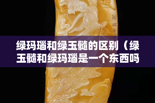 绿玛瑙和绿玉髓的区别（绿玉髓和绿玛瑙是一个东西吗）