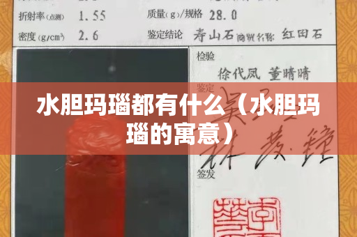 水胆玛瑙都有什么（水胆玛瑙的寓意）