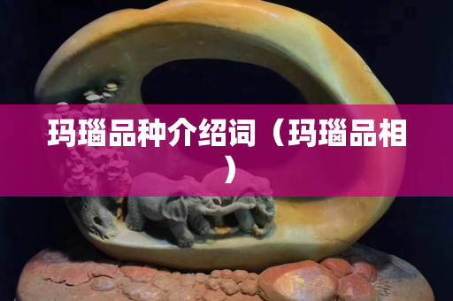 玛瑙品种介绍词（玛瑙品相）