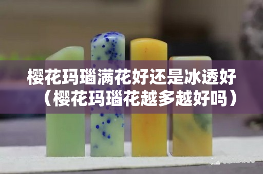 樱花玛瑙满花好还是冰透好（樱花玛瑙花越多越好吗）
