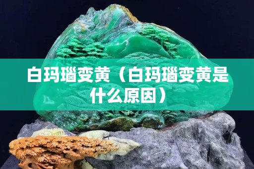 白玛瑙变黄（白玛瑙变黄是什么原因）