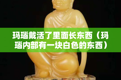 玛瑙戴活了里面长东西（玛瑙内部有一块白色的东西）