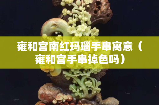 雍和宫南红玛瑙手串寓意（雍和宫手串掉色吗）