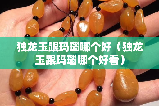 独龙玉跟玛瑙哪个好（独龙玉跟玛瑙哪个好看）