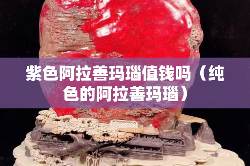 紫色阿拉善玛瑙值钱吗（纯色的阿拉善玛瑙）