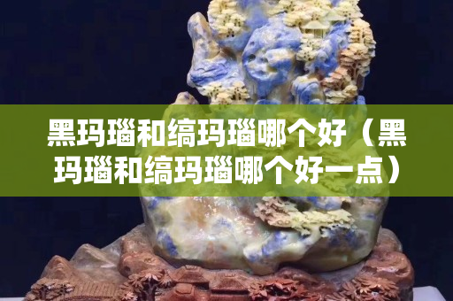 黑玛瑙和缟玛瑙哪个好（黑玛瑙和缟玛瑙哪个好一点）