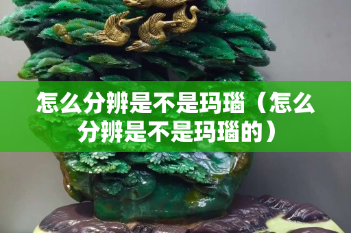 怎么分辨是不是玛瑙（怎么分辨是不是玛瑙的）