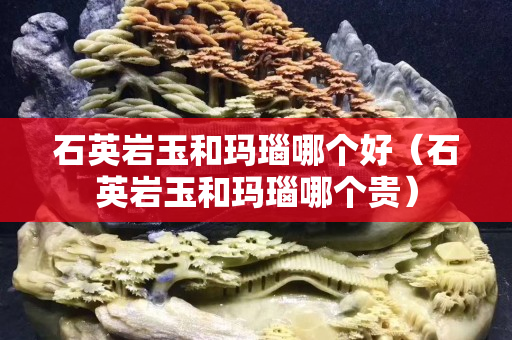 石英岩玉和玛瑙哪个好（石英岩玉和玛瑙哪个贵）