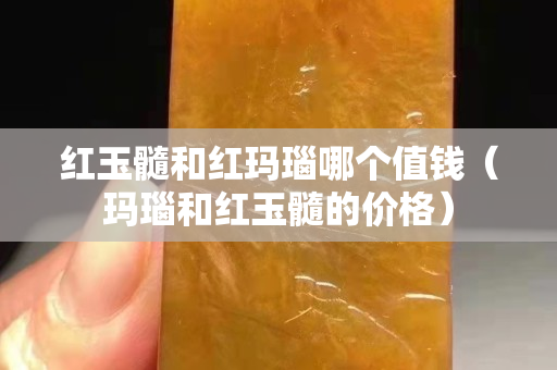 红玉髓和红玛瑙哪个值钱（玛瑙和红玉髓的价格）