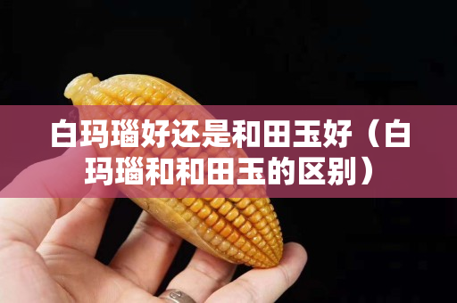 白玛瑙好还是和田玉好（白玛瑙和和田玉的区别）
