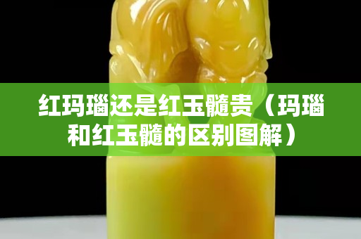红玛瑙还是红玉髓贵（玛瑙和红玉髓的区别图解）
