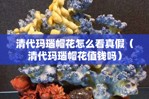 清代玛瑙帽花怎么看真假（清代玛瑙帽花值钱吗）