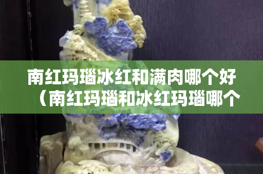 南红玛瑙冰红和满肉哪个好（南红玛瑙和冰红玛瑙哪个好）