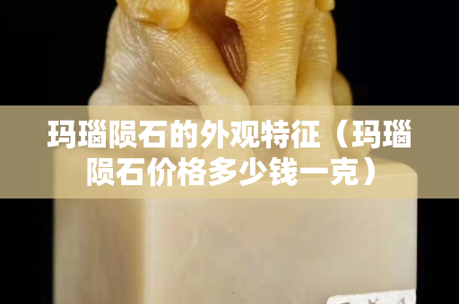 玛瑙陨石的外观特征（玛瑙陨石价格多少钱一克）