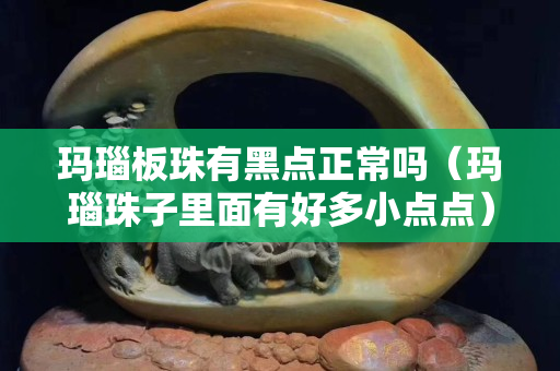 玛瑙板珠有黑点正常吗（玛瑙珠子里面有好多小点点）