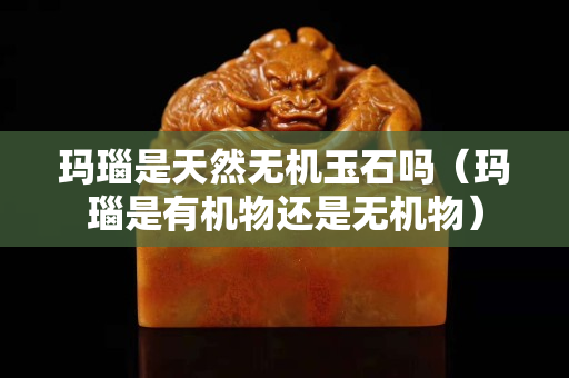玛瑙是天然无机玉石吗（玛瑙是有机物还是无机物）