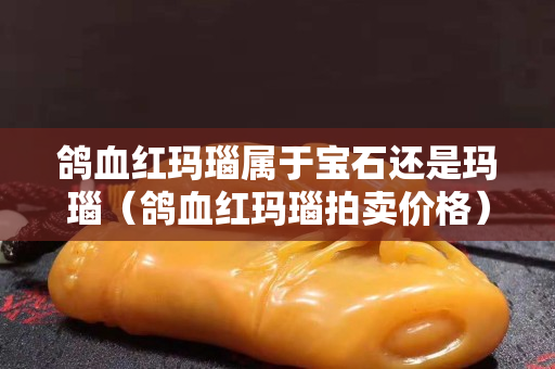 鸽血红玛瑙属于宝石还是玛瑙（鸽血红玛瑙拍卖价格）