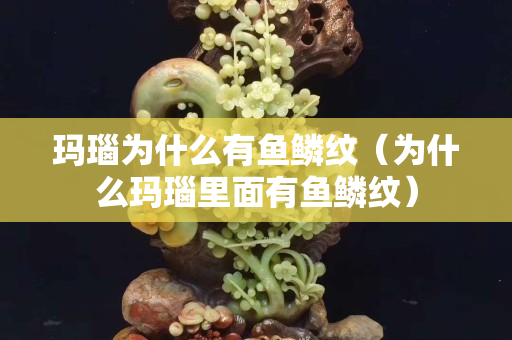 玛瑙为什么有鱼鳞纹（为什么玛瑙里面有鱼鳞纹）