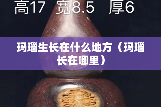 玛瑙生长在什么地方（玛瑙长在哪里）