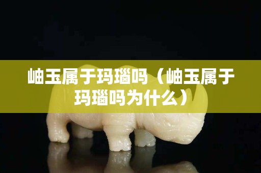 岫玉属于玛瑙吗（岫玉属于玛瑙吗为什么）