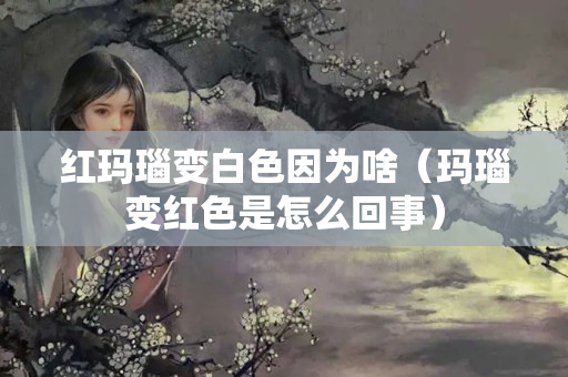 红玛瑙变白色因为啥（玛瑙变红色是怎么回事）
