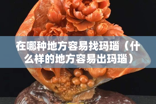 在哪种地方容易找玛瑙（什么样的地方容易出玛瑙）