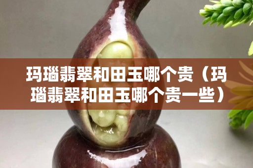 玛瑙翡翠和田玉哪个贵（玛瑙翡翠和田玉哪个贵一些）