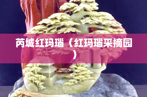 芮城红玛瑙（红玛瑙采摘园）