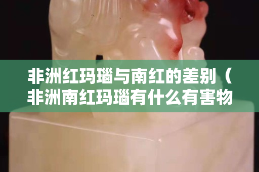 非洲红玛瑙与南红的差别（非洲南红玛瑙有什么有害物质）