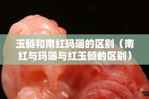 玉髓和南红玛瑙的区别（南红与玛瑙与红玉髓的区别）