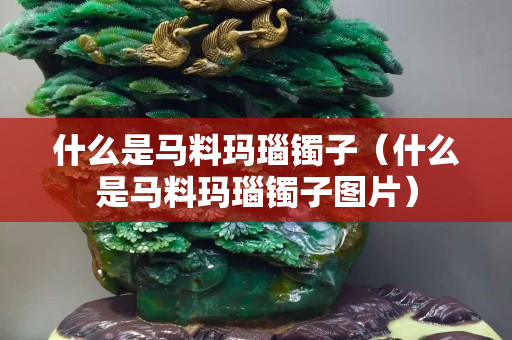 什么是马料玛瑙镯子（什么是马料玛瑙镯子图片）